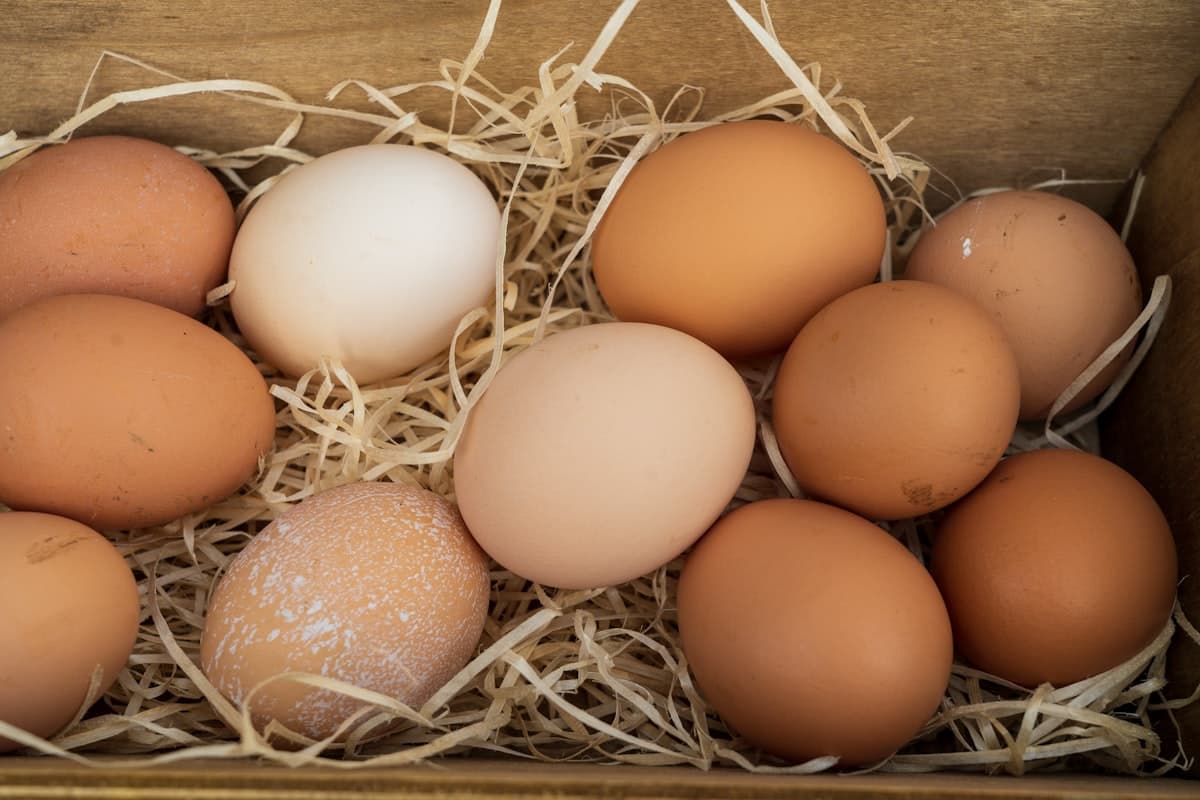 Carne y Huevos: Por Que Son Tan Saludables y Como Incluirlos en Tu Dieta