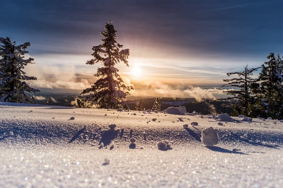 Energia Invernal: Movimiento, Luz, Proteina — En Vez de 5 Envases de Suplementos